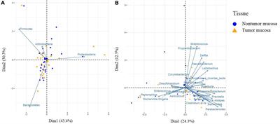 Profiling the Bladder Microbiota in Patients With Bladder Cancer